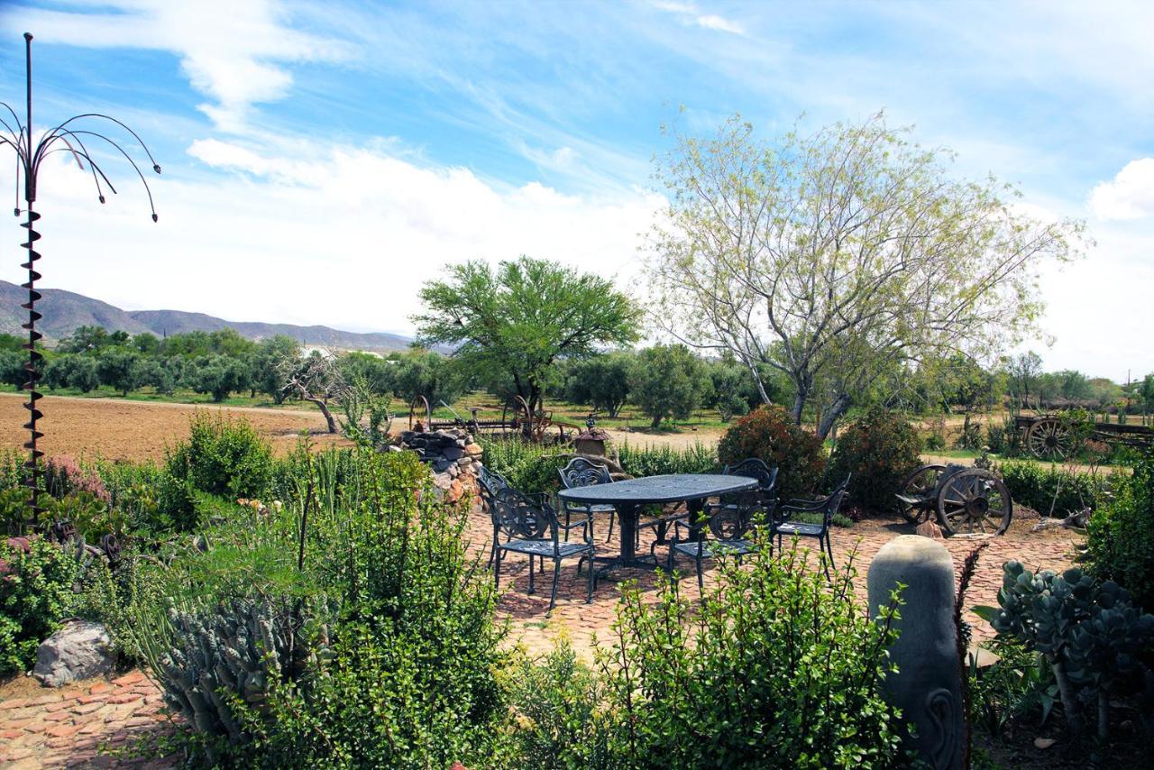 פרינס אלברט Aloe Guest House מראה חיצוני תמונה