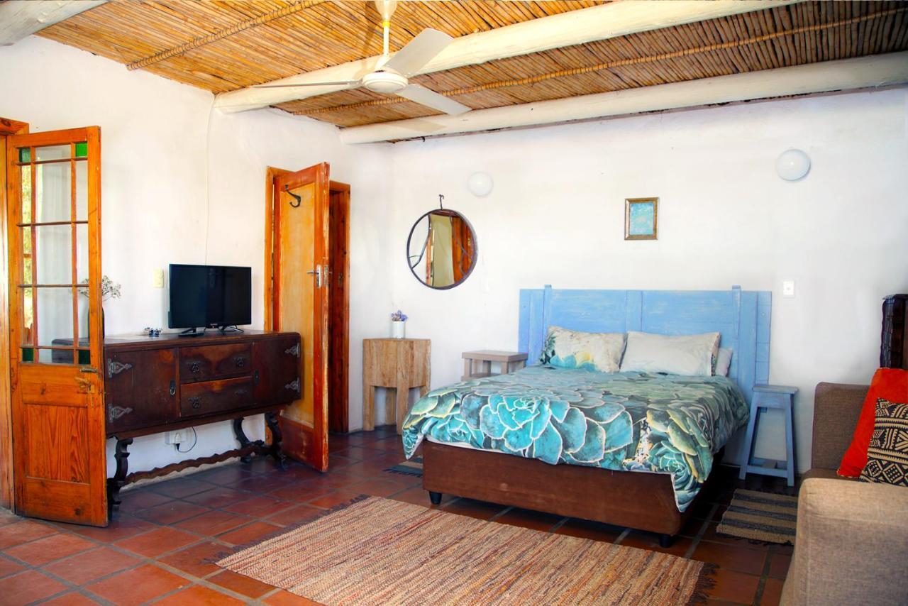 פרינס אלברט Aloe Guest House מראה חיצוני תמונה