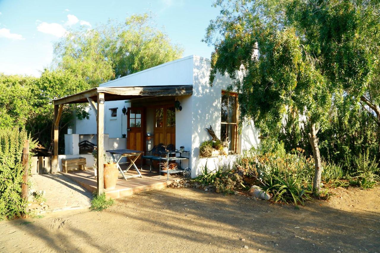 פרינס אלברט Aloe Guest House מראה חיצוני תמונה