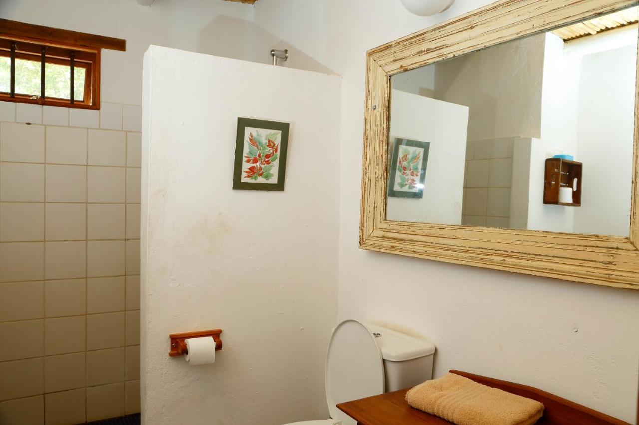 פרינס אלברט Aloe Guest House מראה חיצוני תמונה