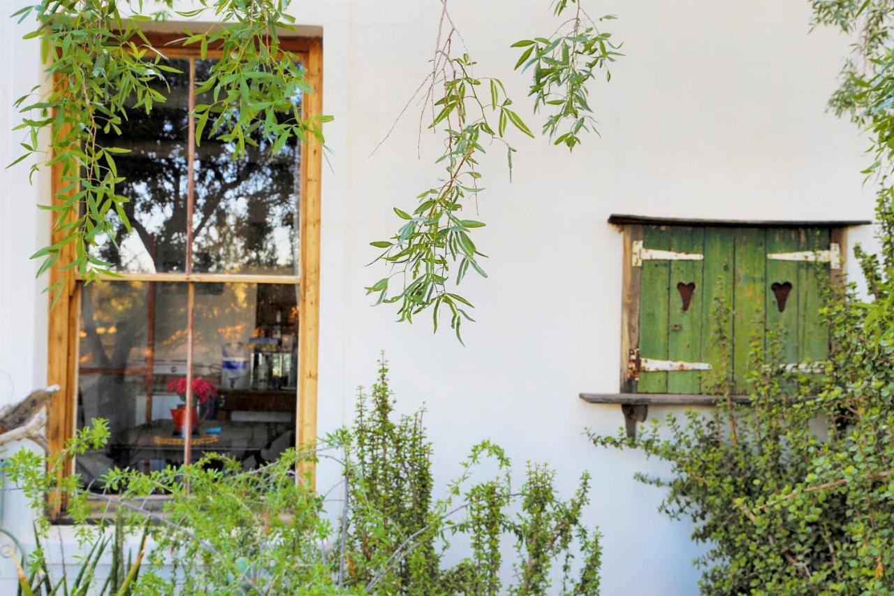 פרינס אלברט Aloe Guest House מראה חיצוני תמונה