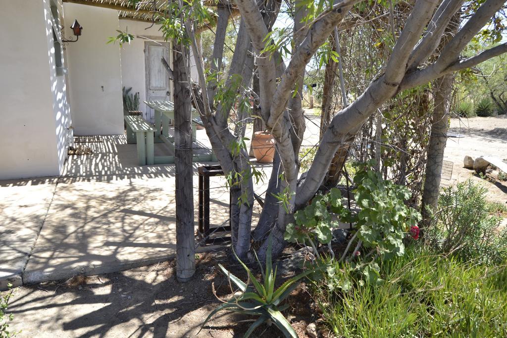 פרינס אלברט Aloe Guest House מראה חיצוני תמונה