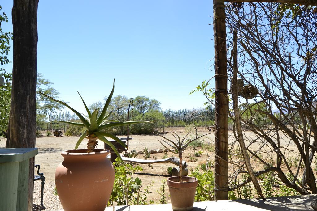 פרינס אלברט Aloe Guest House מראה חיצוני תמונה